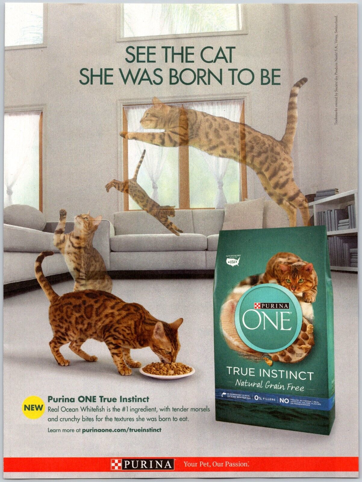 2018 Purina One True Instinct Cat Food Natural Grain Free Cats Leaping Print Ad