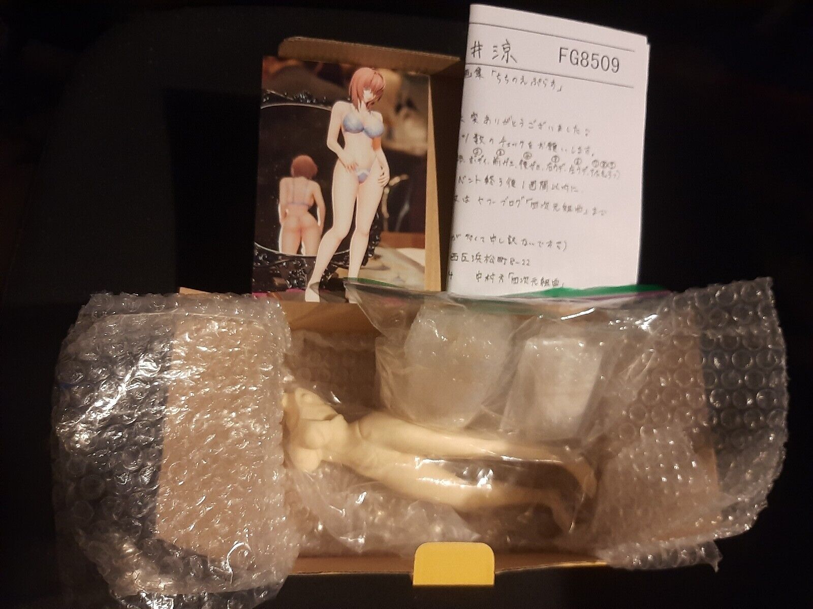 FG8509 Sakurai Ryo bikini  anime Resin E2046 Garage Kit