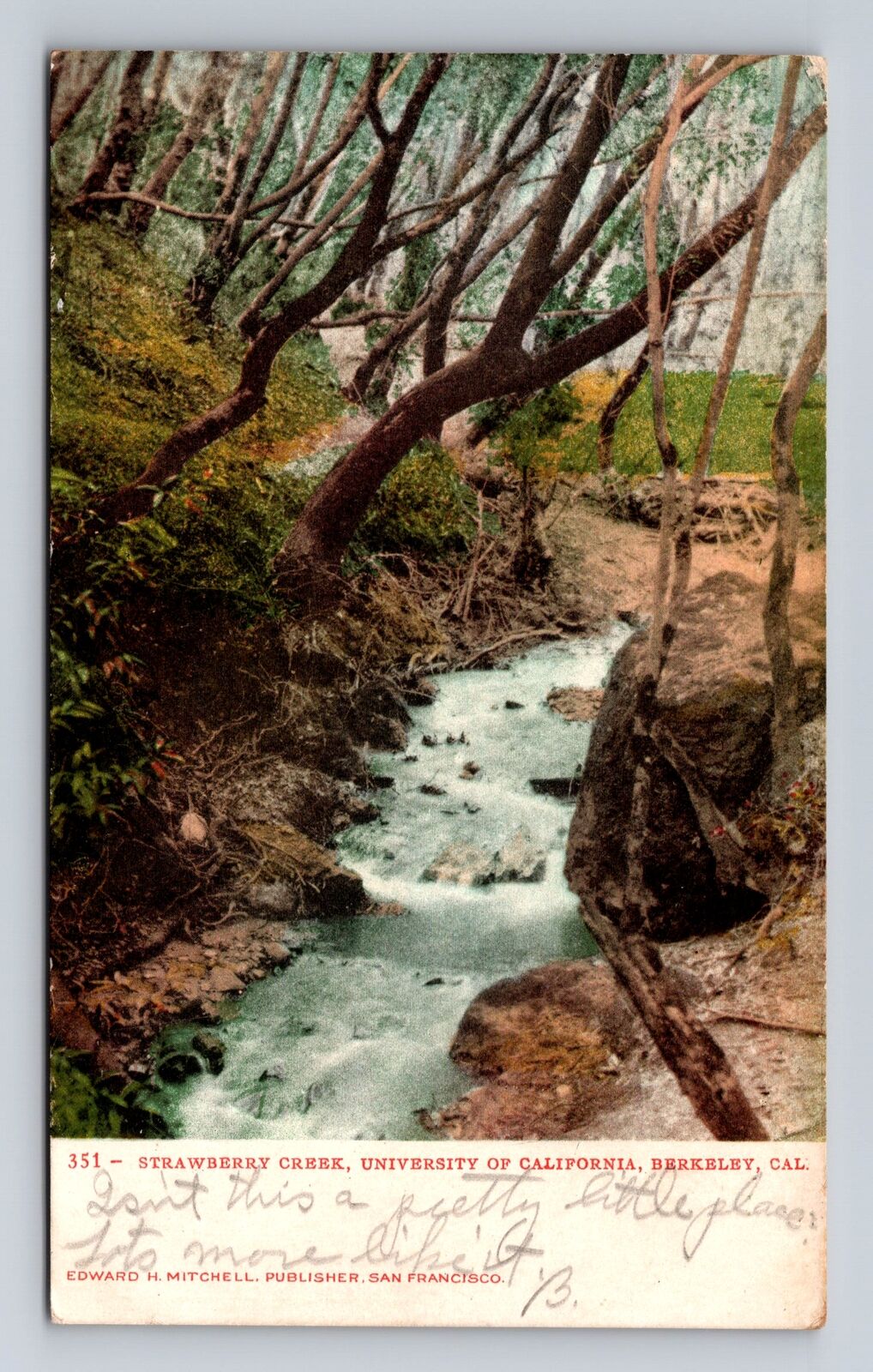 Berkeley CA-California, Strawberry Creek, University, Antique, Vintage Postcard