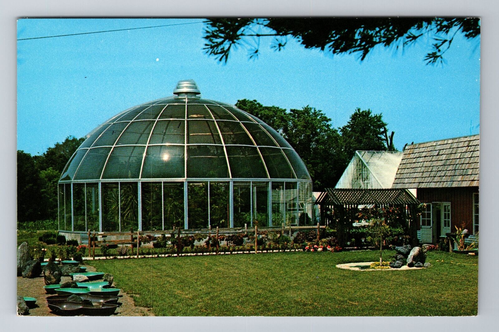 Owego NY-New York, Tioga Gardens, Plant Conservatory, Antique, Vintage Postcard