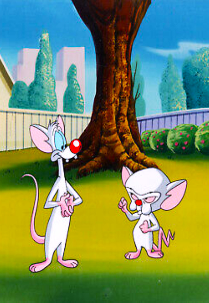 PINKY AND THE BRAIN Photo Magnet @ 3\