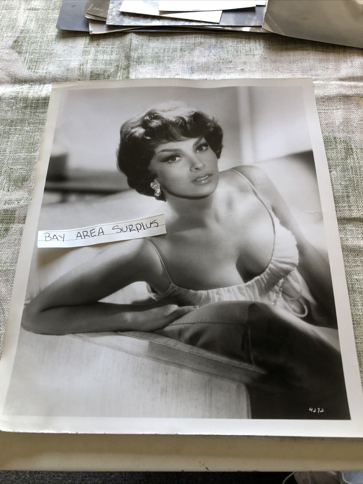 Rare Original Photo Of Gina Lollobrigida Unpublished Hollywood 10”x8”