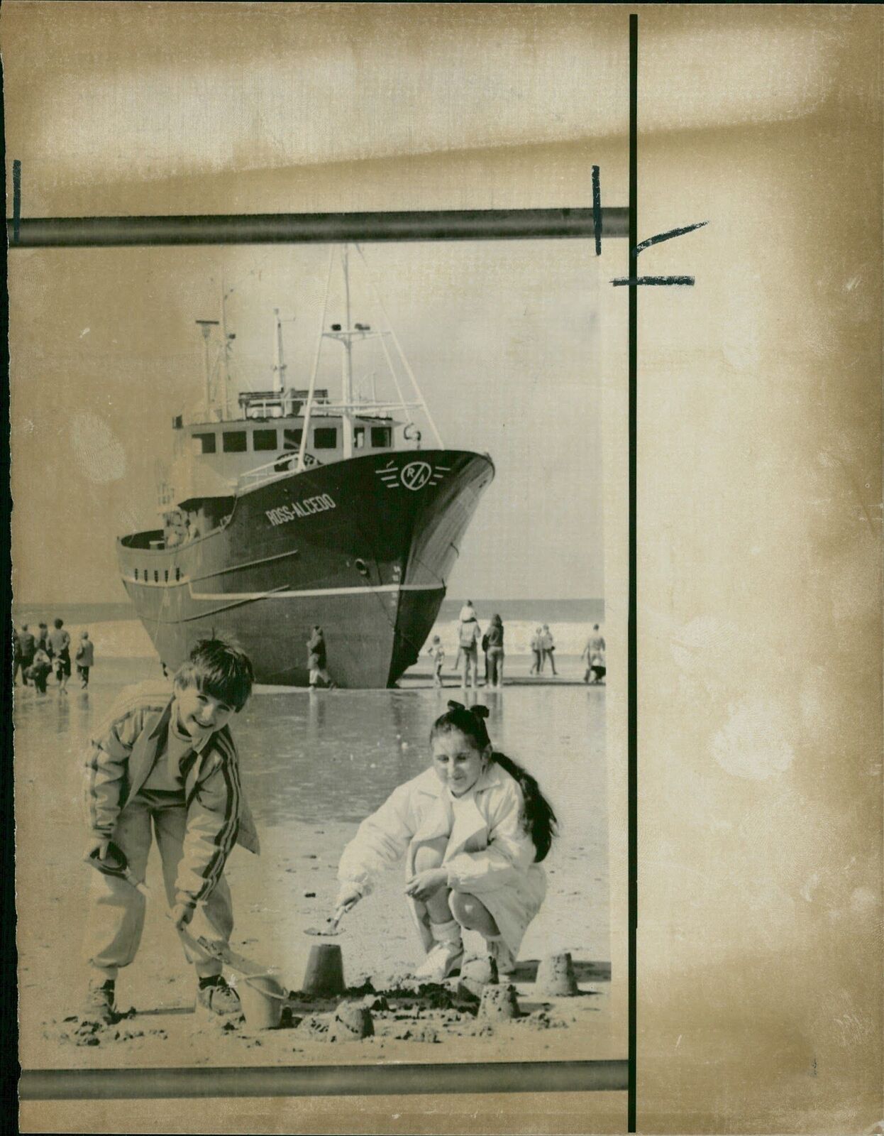 Ship: Ross-Alcedo. - Vintage Photograph 1587948