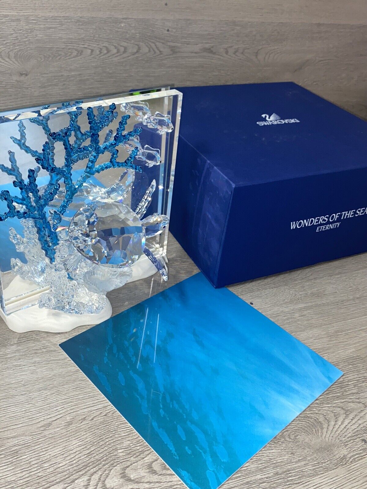 Swarovski Crystal Wonders Of The Sea Eternity Turtle, Blue Coral, Artist Signed