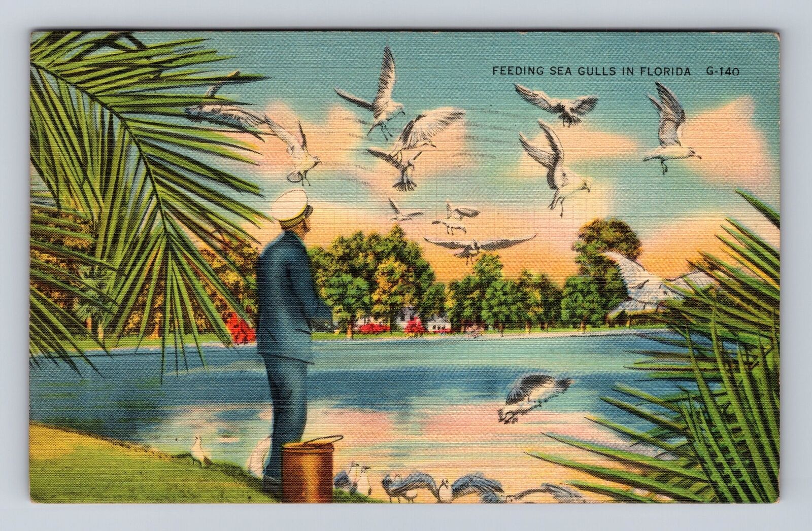 FL-Florida, Feeding Sea Gulls, Antique, Vintage c1938 Souvenir Postcard