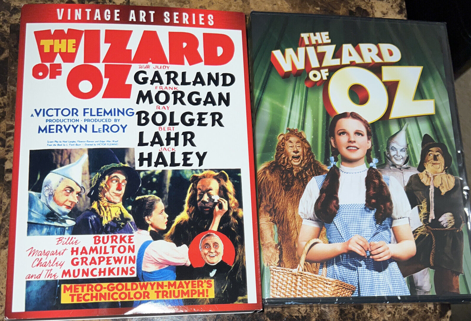 The Wizard of Oz DVD RARE Vintage Art Series Retro Slipcase
