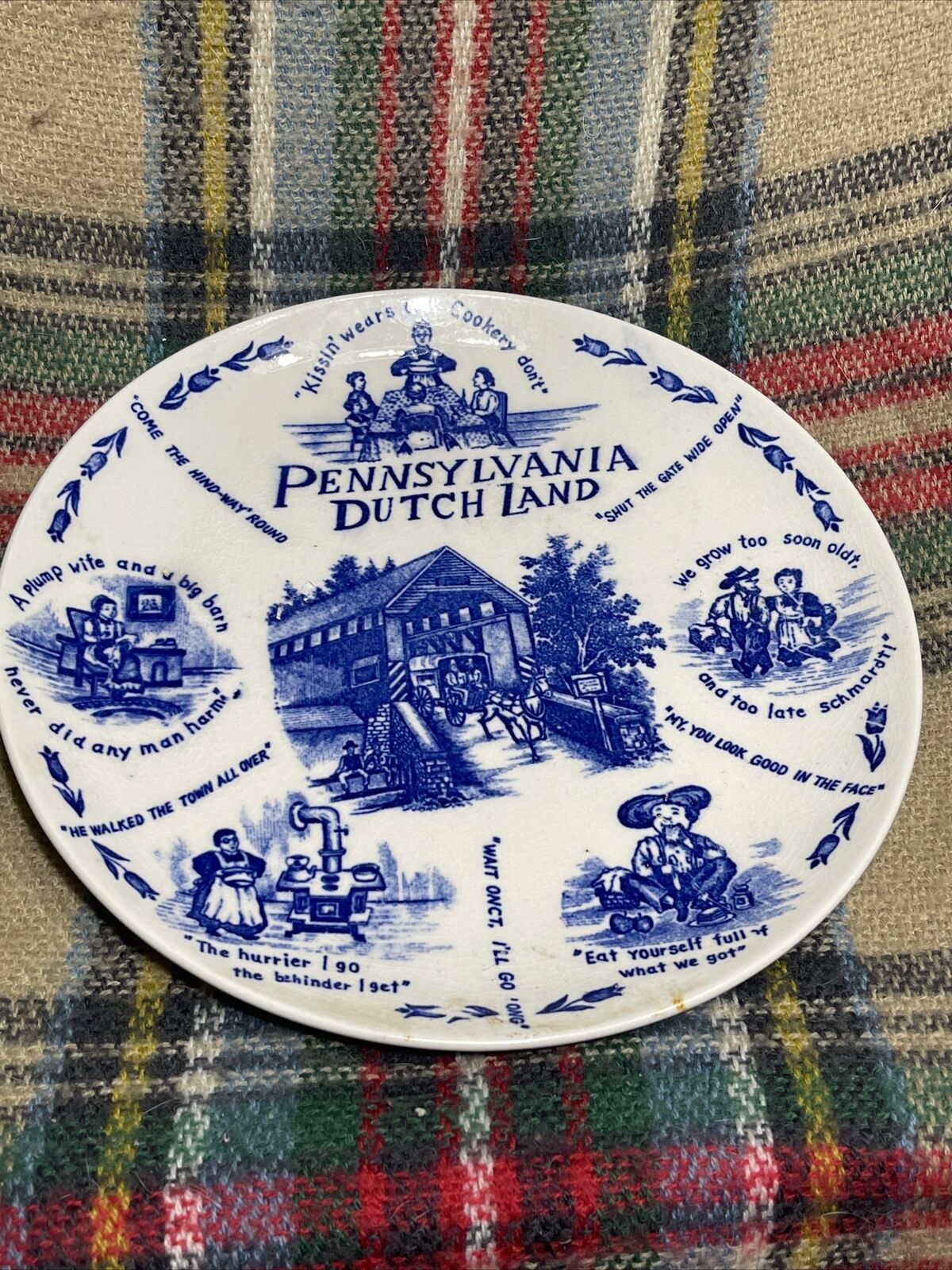 Lang Craft Pennsylvania Dutch Land Souvenir Wall Plate With Funny Sayings 9.5”