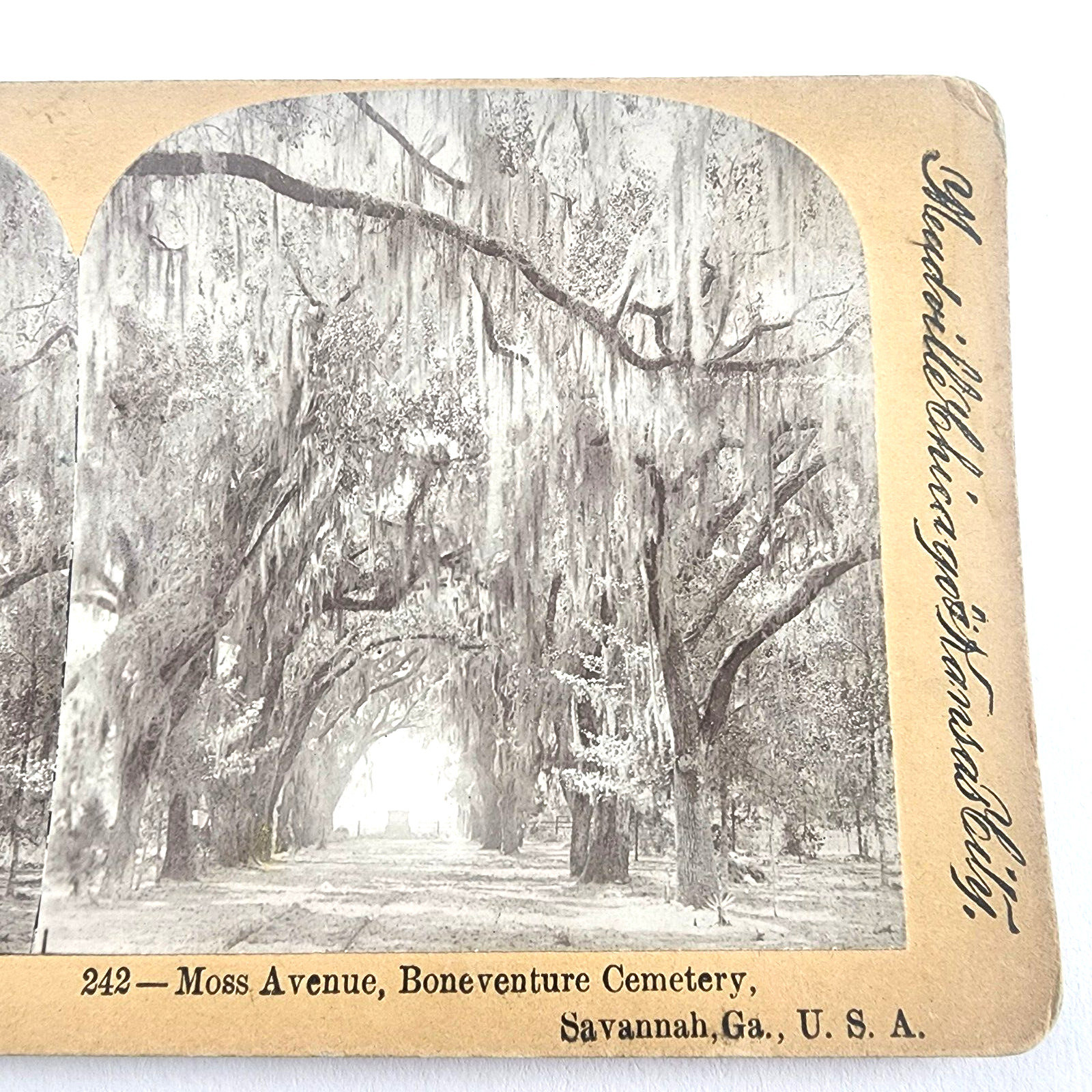 Antique SV 1890s, Keystone View #242, Savannah Georgia, Moss Ave, Bonaventure