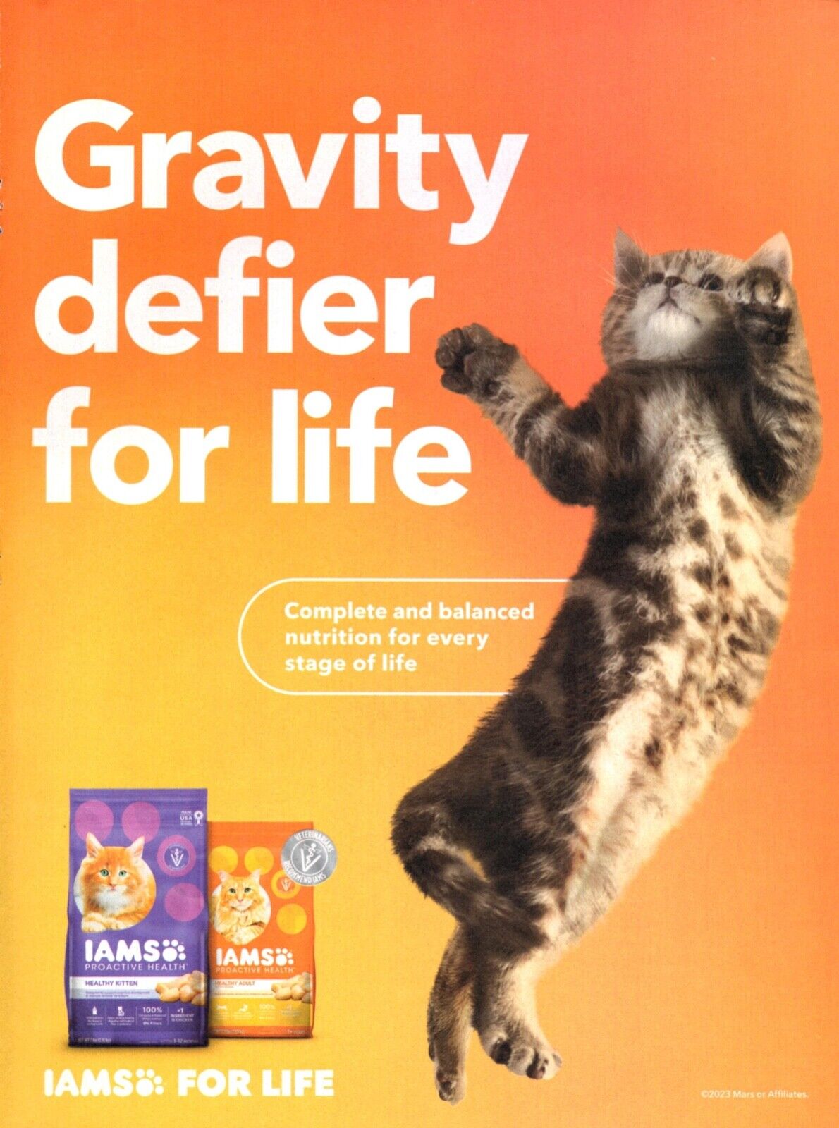 2023 IAMS For Life Proactive Health Cat Food Magazine Print Ad Advertisement