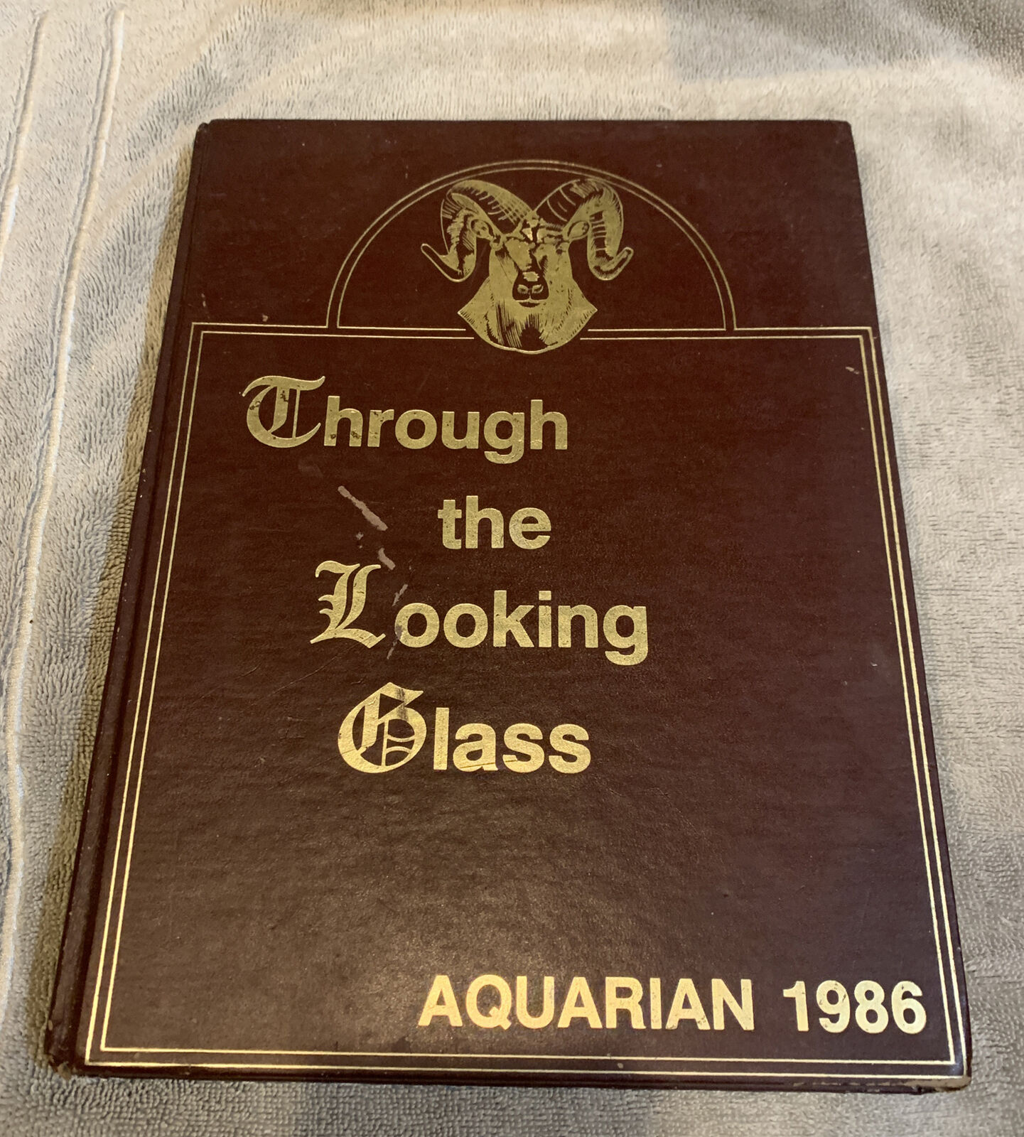 YEARBOOK TWIN LAKES HIGH SCHOOL 1986 AQUARIAN 1986 West Palm Beach Florida