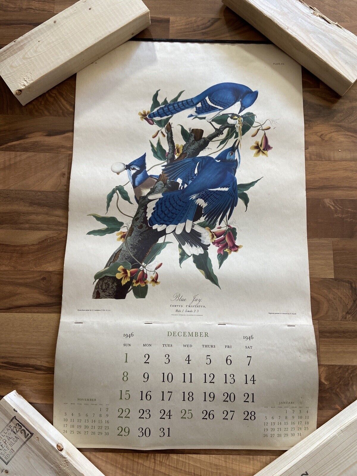 Vtg  1947 Calendar J J Audubon R. Havell Blue Jay, Turtle Dove, Canadian Goose
