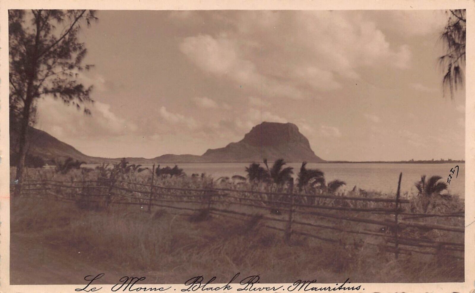 RPPC La Gaulette Mauritius Black River Photo Vtg Postcard C27