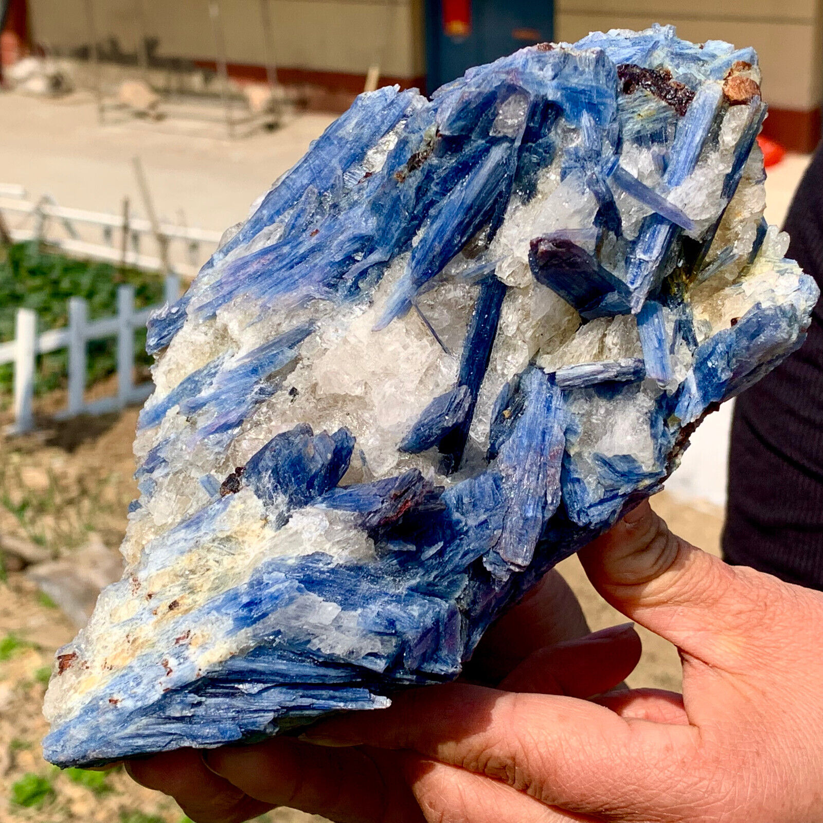 4.59LB  Rare Natural beautiful Blue KYANITE with Quartz Crystal Specimen Rough