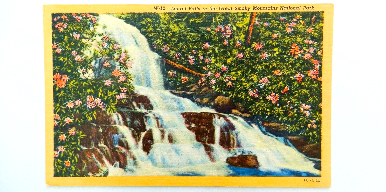 Laurel Falls Great Smoky Mountains Postcard Vintage Linen Waterfall Flower Park