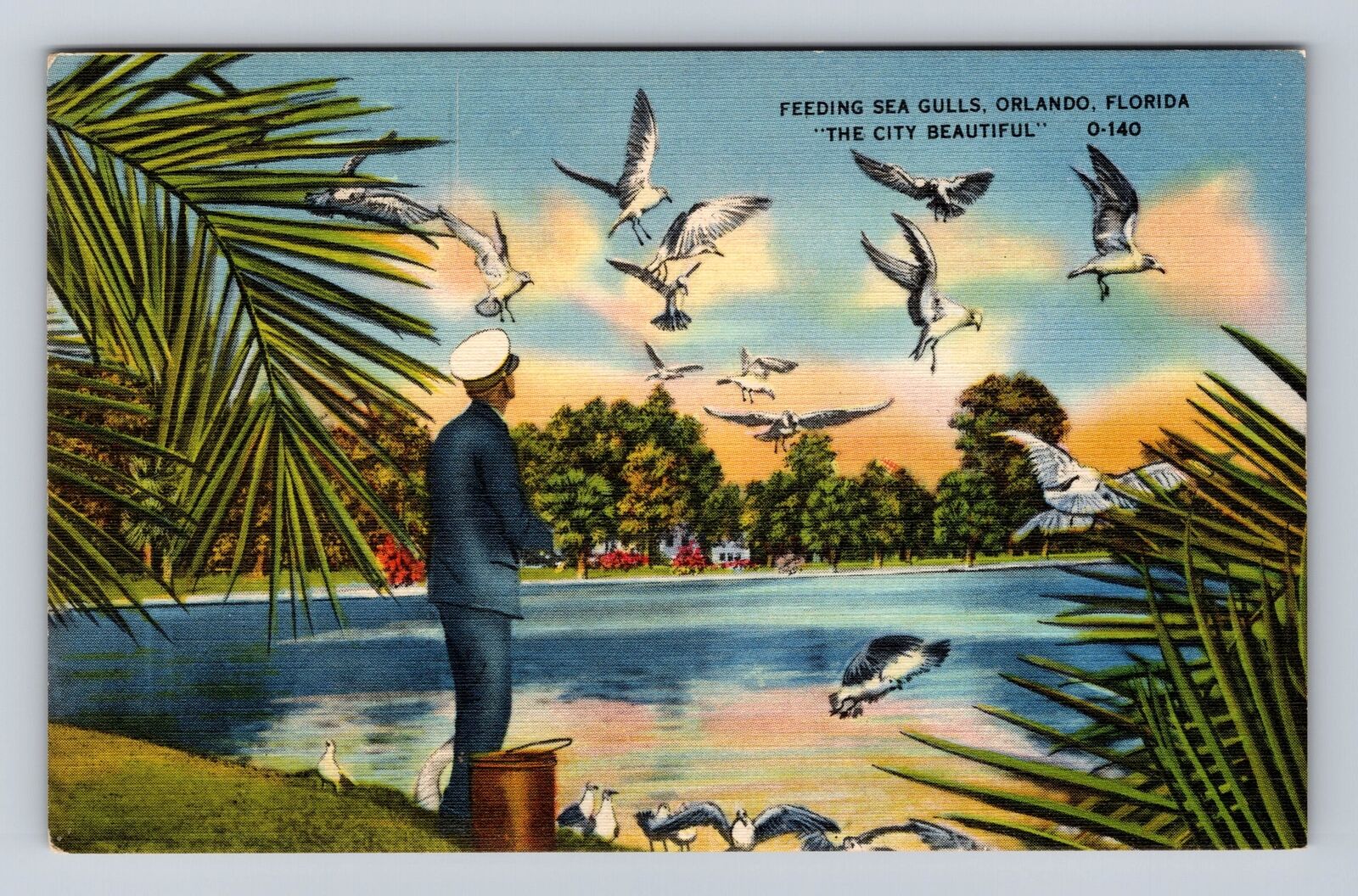 Orlando FL- Florida, Feeding Sea Gulls, Antique, Vintage Souvenir Postcard