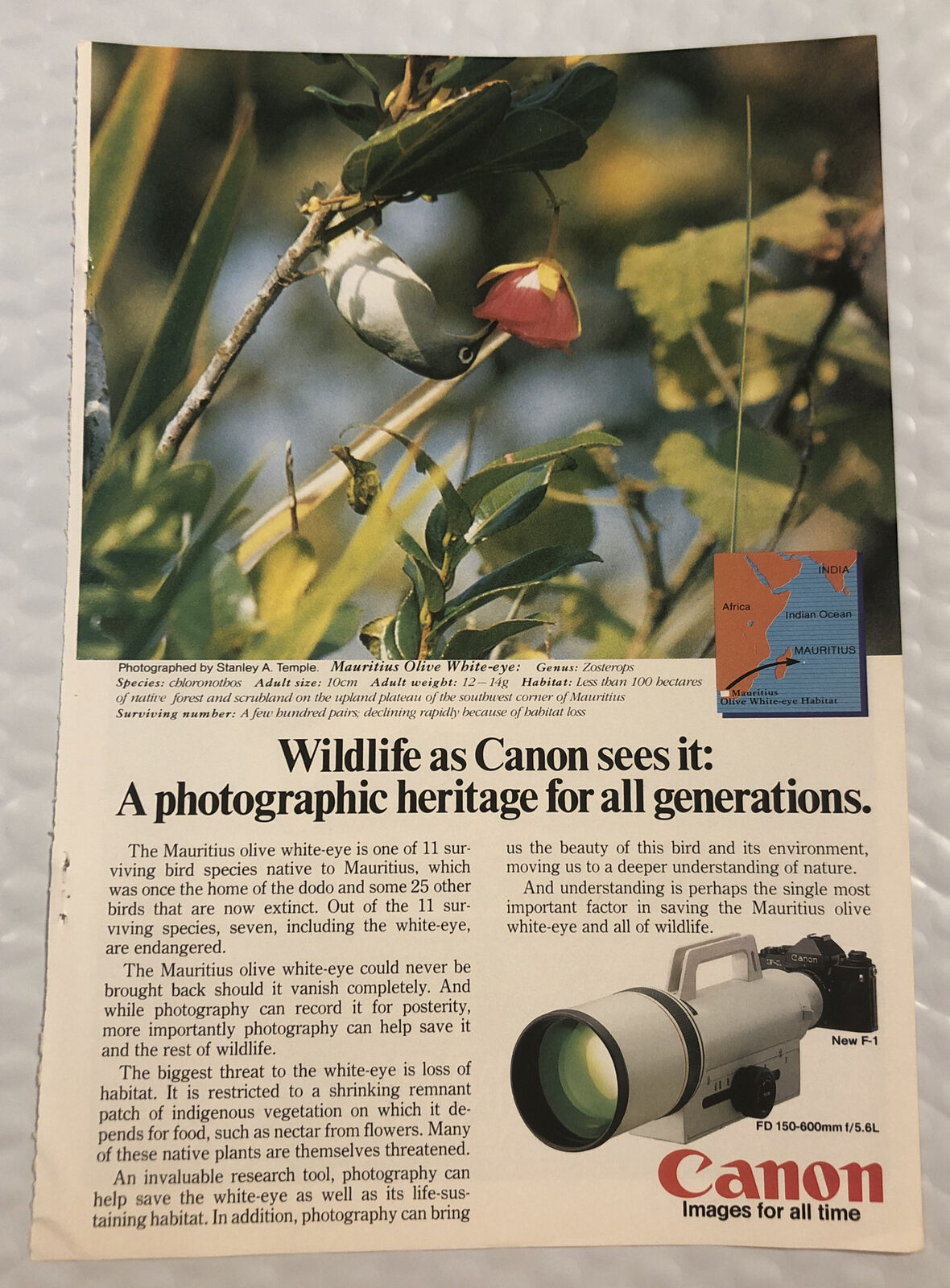 Vintage 1983 Canon Cameras Original Print Ad Full Page - Photographic Heritage