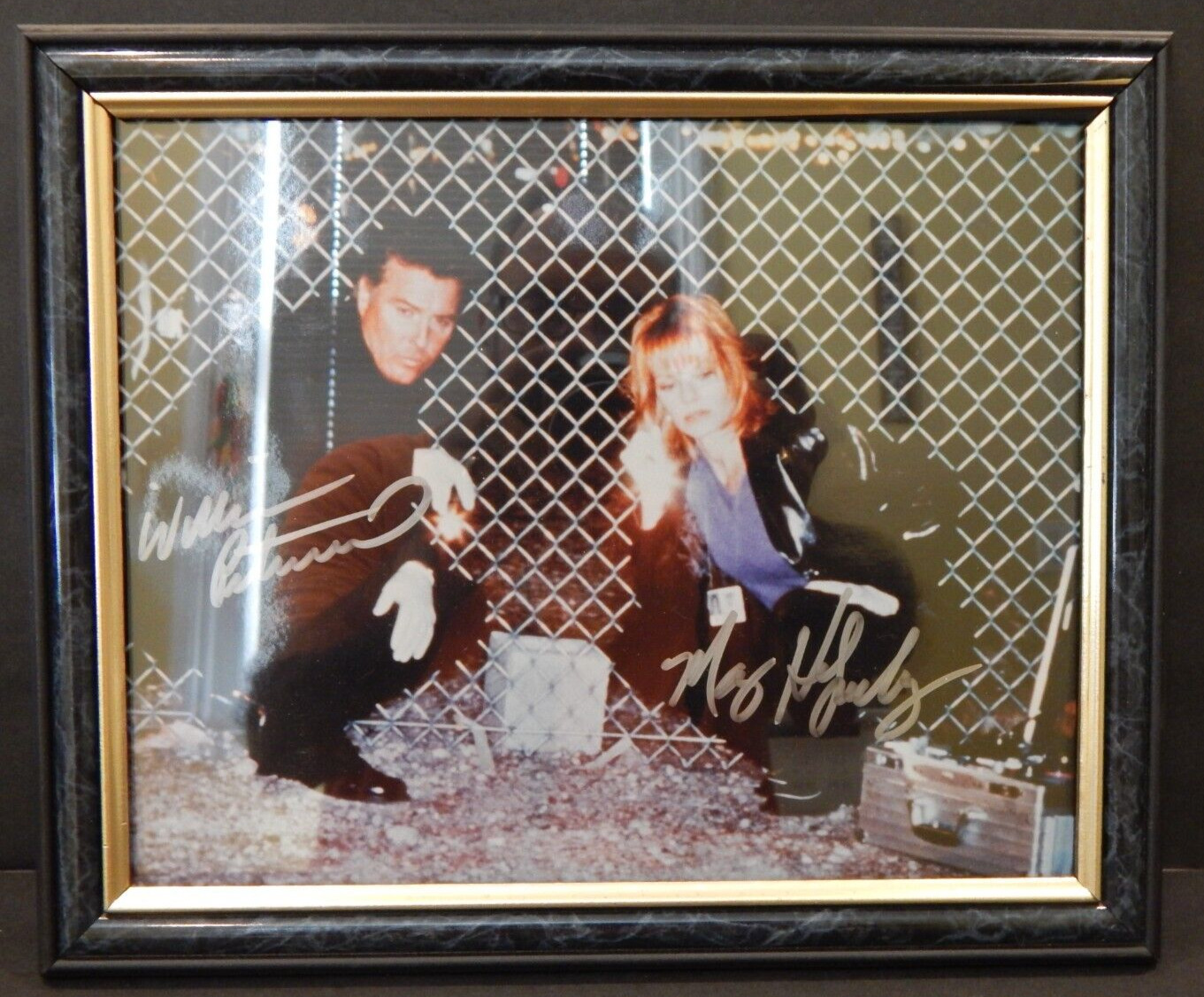 CSI William Peterson & Marg Helgenberger Signed Action 8x10 Photo - Framed w/COA