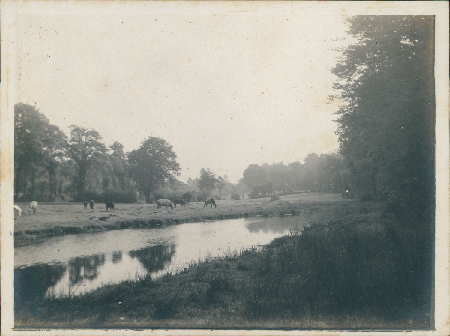 France, River in the Couesnon Valley, ca.1910, Vintage Silver Print Ventag