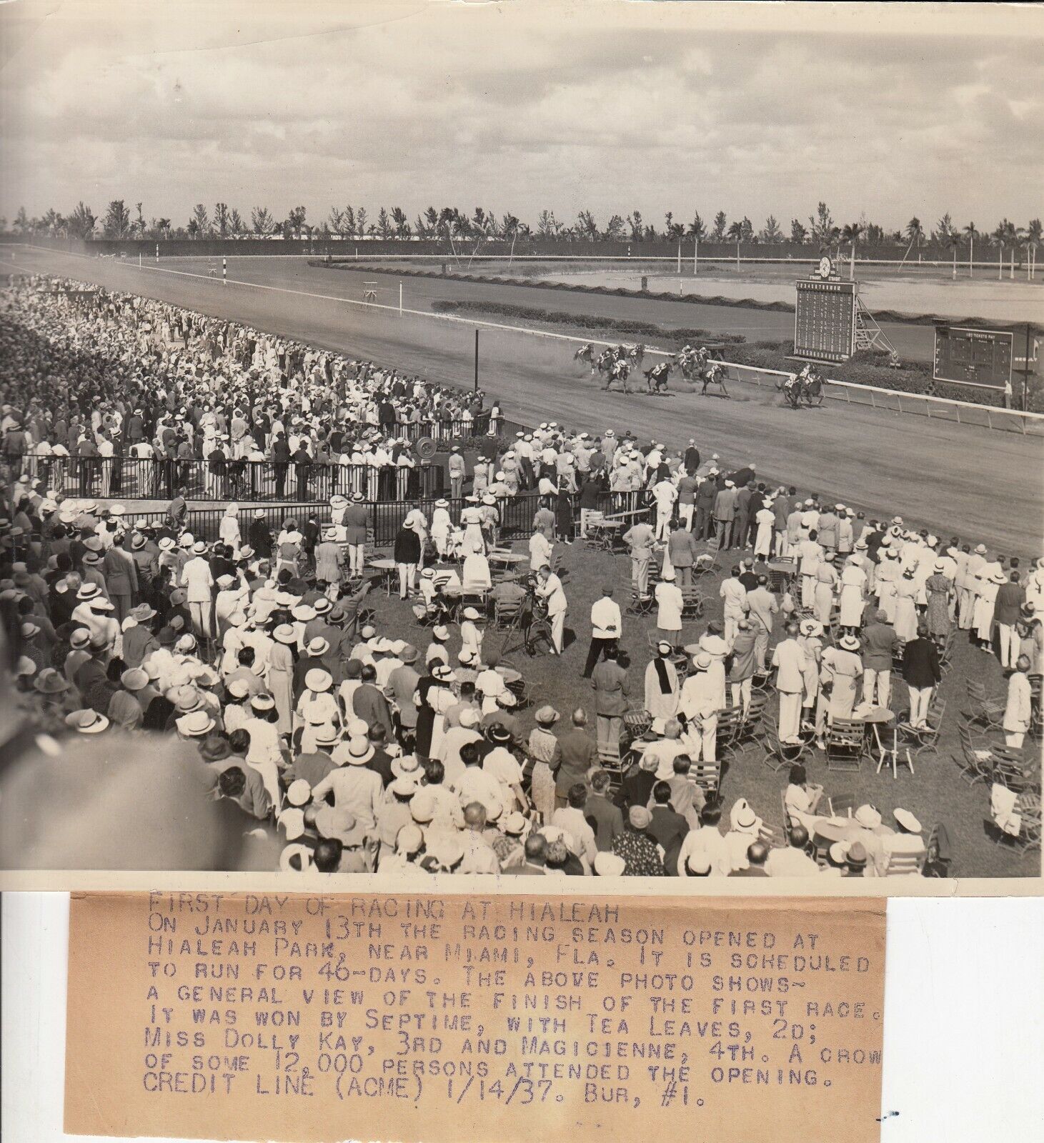 1937 Press Photo - FIRST DAY OF RACING AT HIALEAH     -  HORSE RACE RACING 