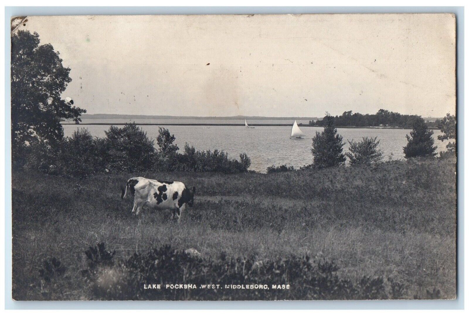1907 Lake Pocksha West Cow Lake Sailboat Middleboro MA RPPC Photo Postcard