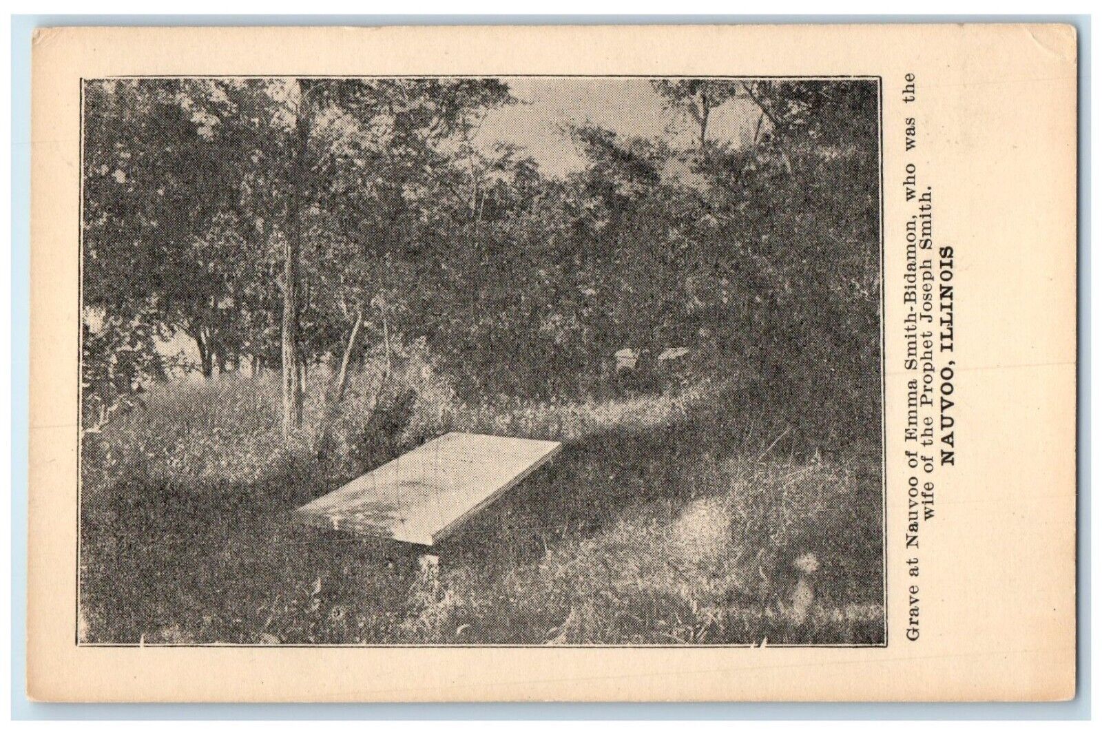 c1940 Grave Nauvoo Emma Smith Bidamon Nauvoo Illinois Vintage Antique Postcard