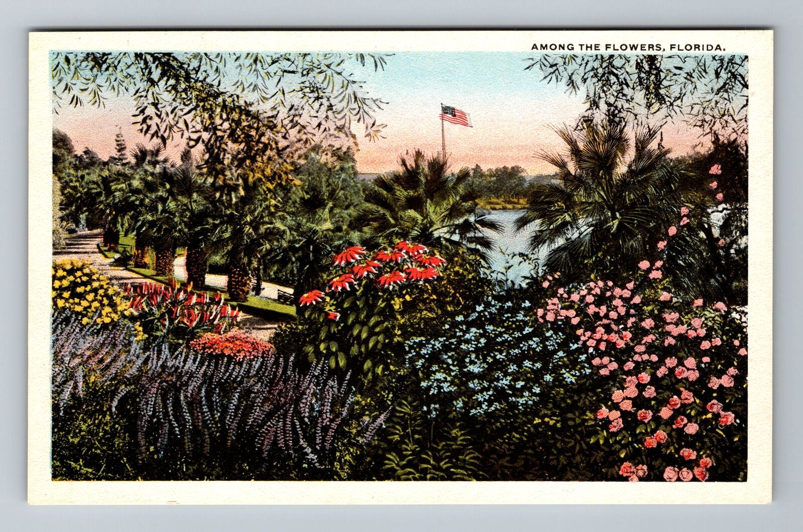 Among The Flowers In Florida Vintage Souvenir Postcard