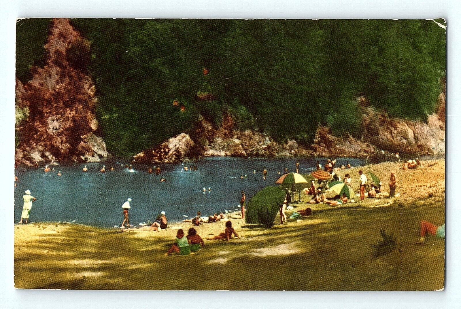 Richardson Grove Redwood Highway Eel River California Swimming Postcard D1