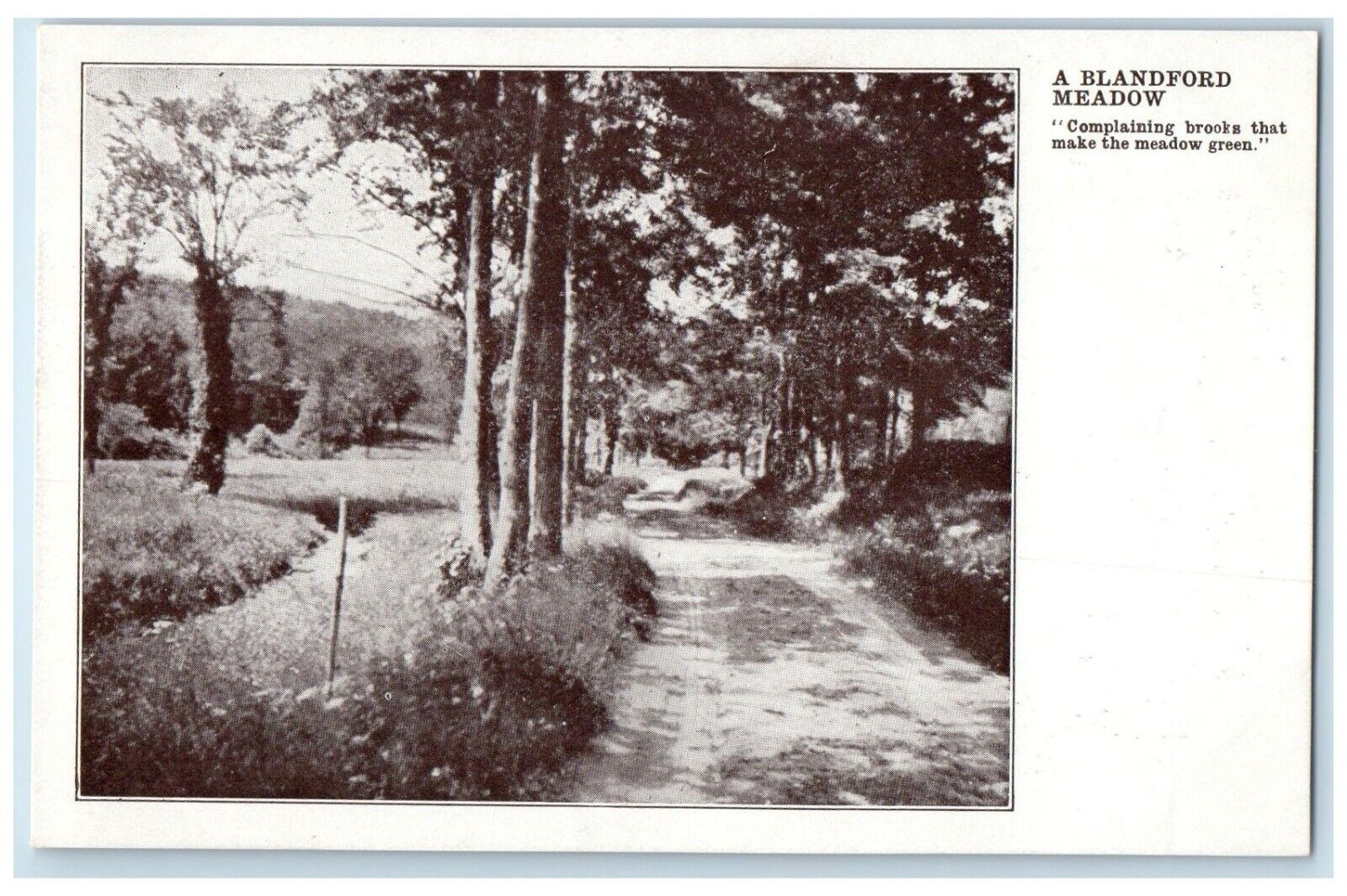 Blandford Massachusetts Postcard Meadow Complaining Books Make Meadow Green 1905