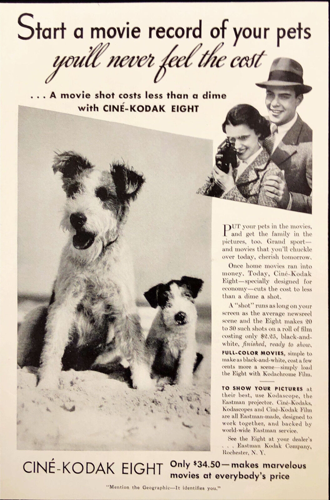 1938 Cine-Kodak Eight Vintage Print Ad Coupe Recording Their Pets Dogs