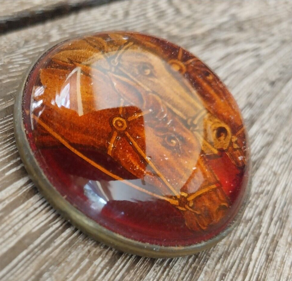 Antique Horse Bridle Rosette Glass Dome 2 horses amber colored brooch pin