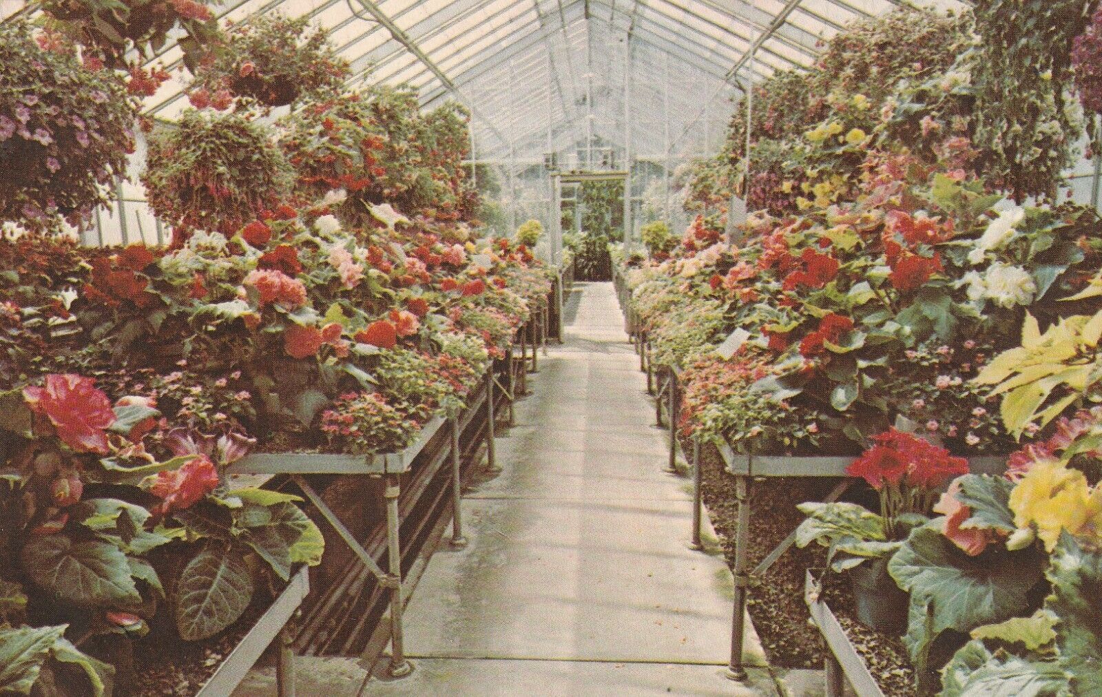 Vintage Postcard Mansfield Ohio Kingswood Center Flower Display Unposted