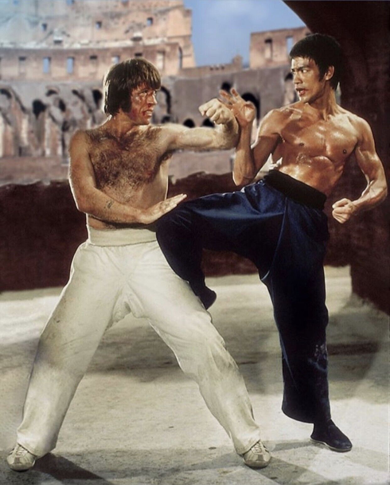 BRUCE LEE CHUCK NORRIS THE WAY OF THE DRAGON 8x10 GLOSSY PHOTO