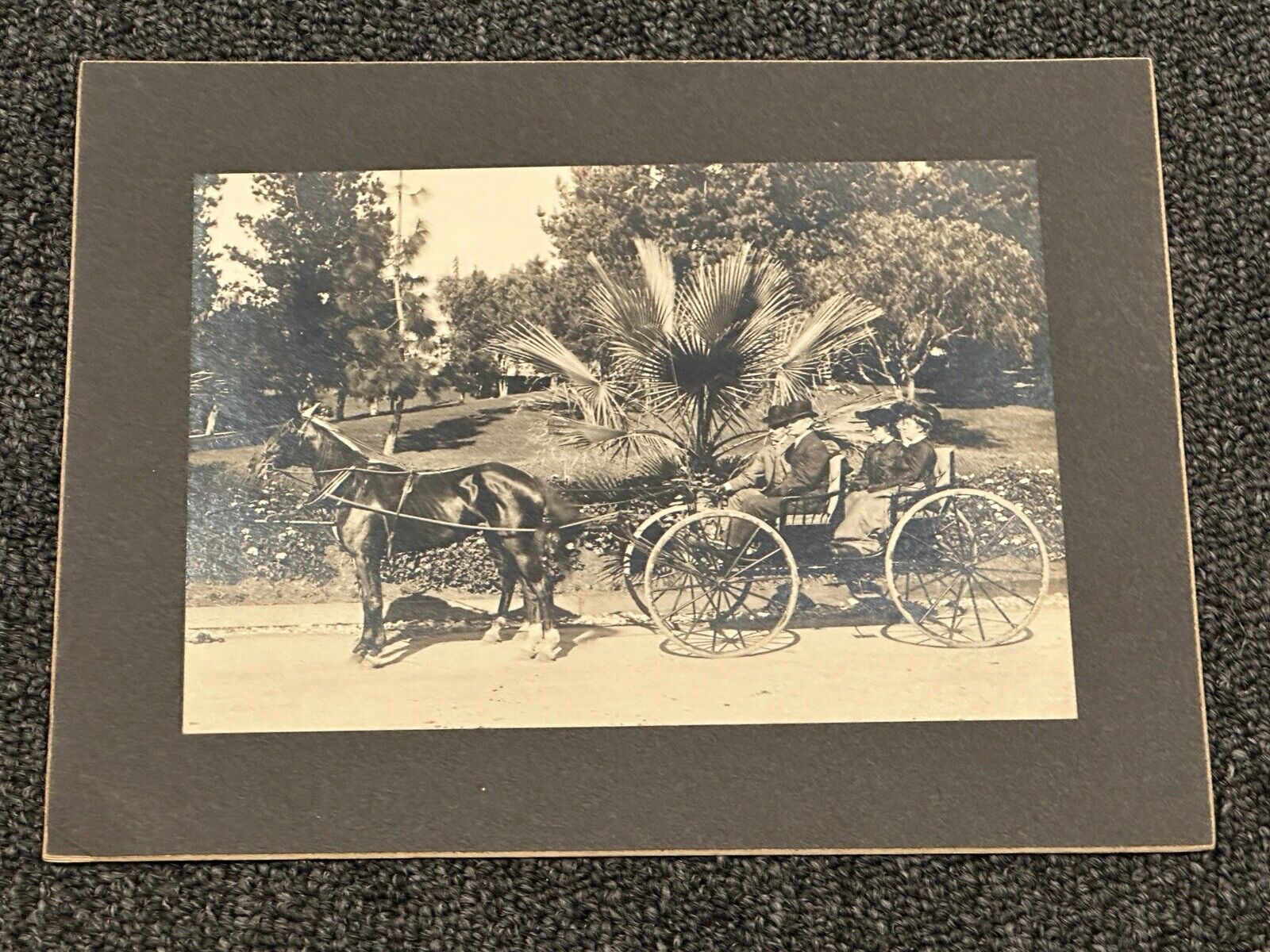 1904 horse drawn carriage photo Los Angeles West Lake Park Rare LA california CA
