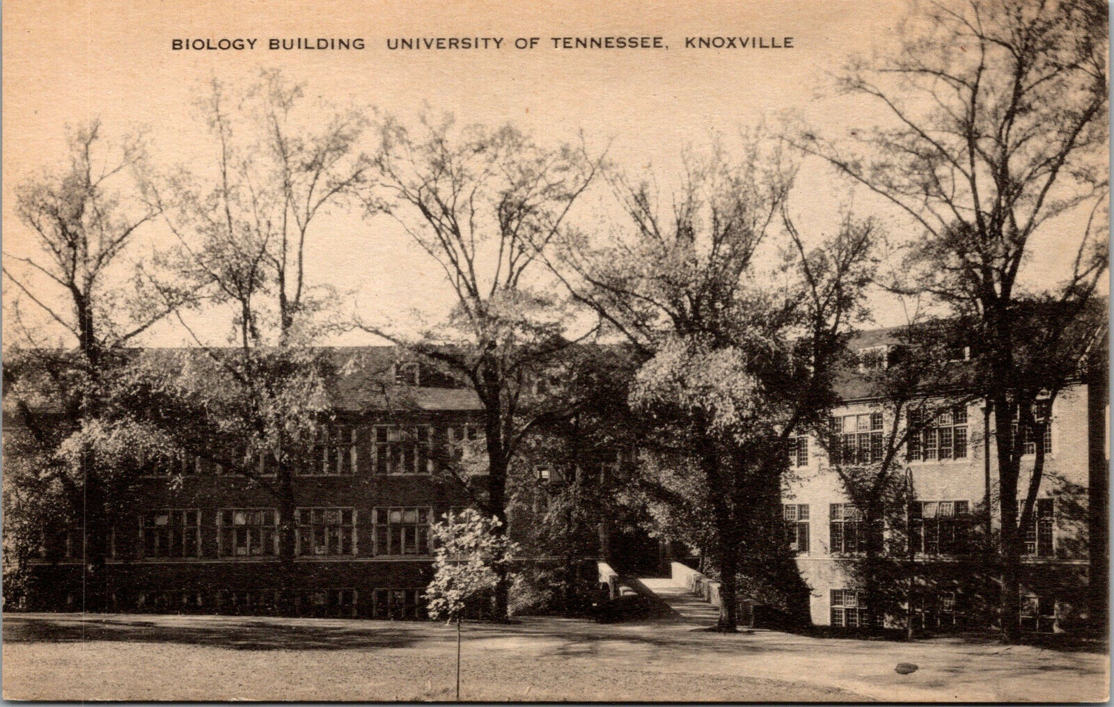 Vtg 1930's Biology Building University Of Tennessee Knoxville TN Postcard