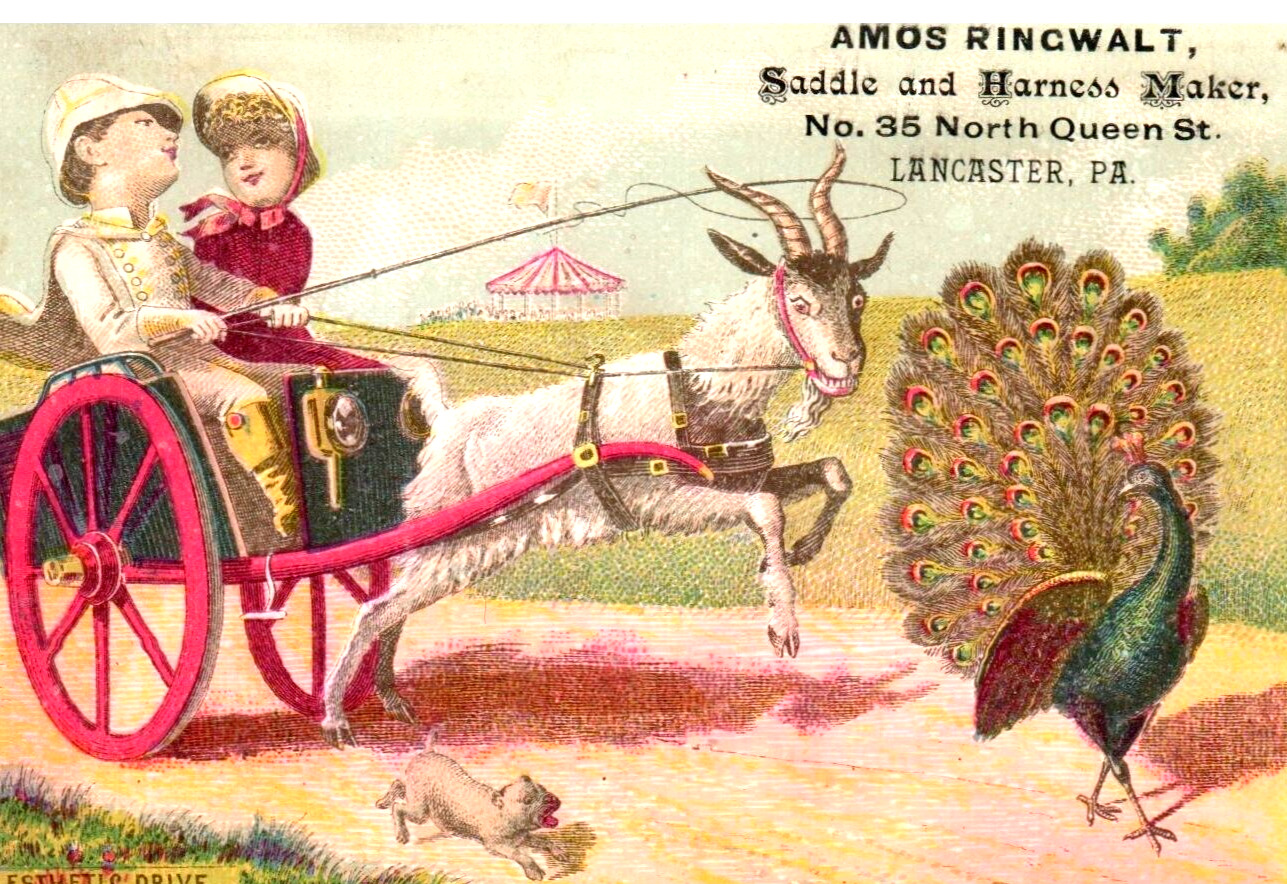 1882 Amos Ringwalt Lancaster PA Saddle Harness Maker Goat Peacock  Trade Card a2