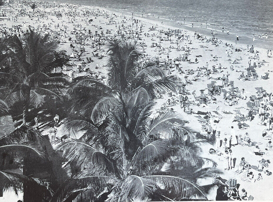 Vtg RARE Kromekote B/w King-Size 9x7 Postcard #203 On the Beach Miami Beach, FL