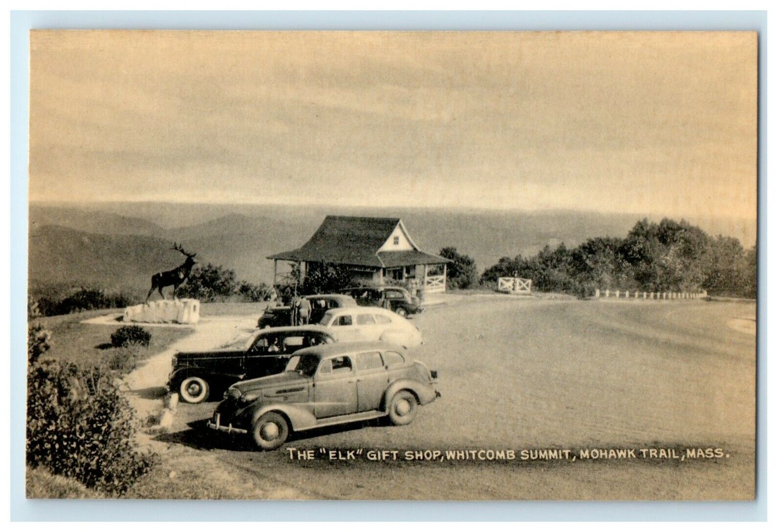 c1940's The Elk Gift Shop Whitcomb Summit Mohawk Trail Massachusetts MA Postcard