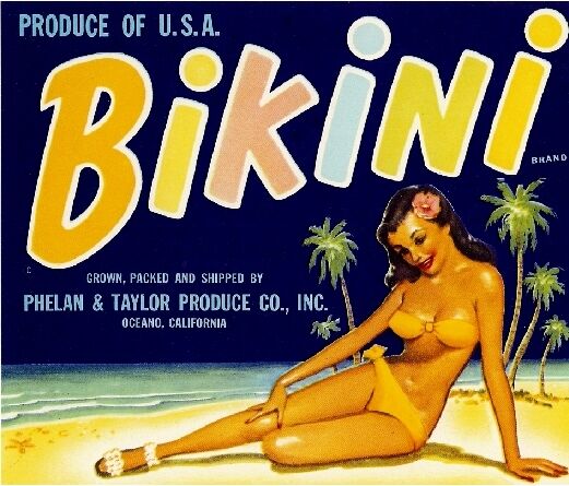 Oceano California Bikini Girl Vegetable Crate Label Art Print