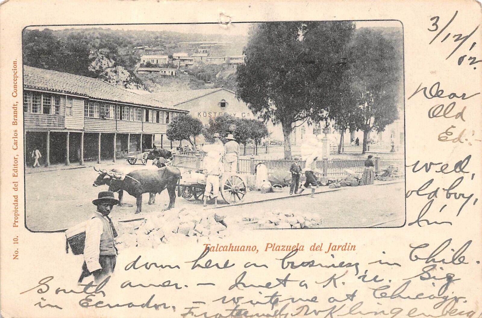 CHILE Talcahuano Plazuel del Jardin Town View Ox Cart 1902 UDB Postcard 9473