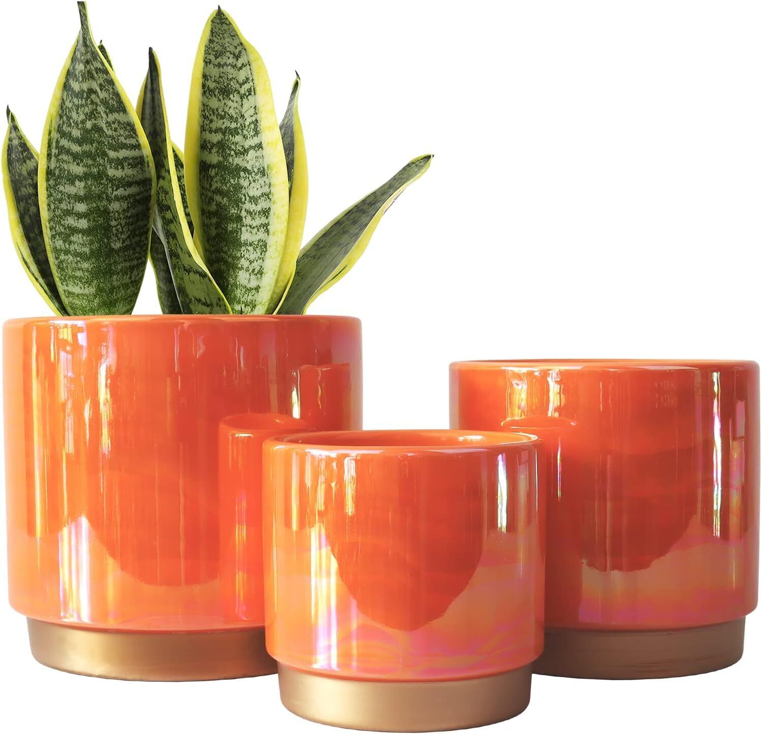Ceramic Indoor Pots for Plants,New free freight