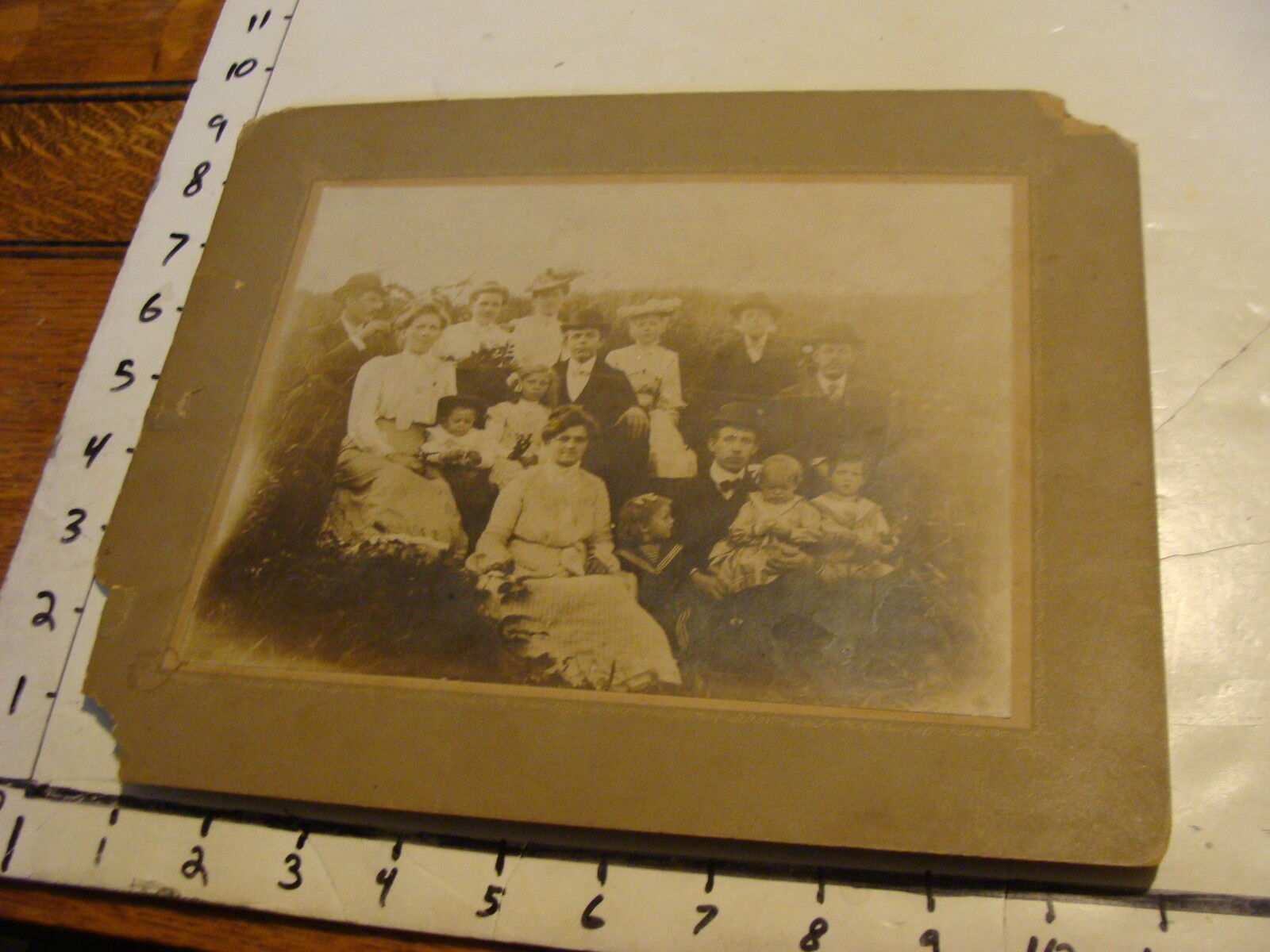 vintage mounted photo: Large family in field, circa later 1800\'s