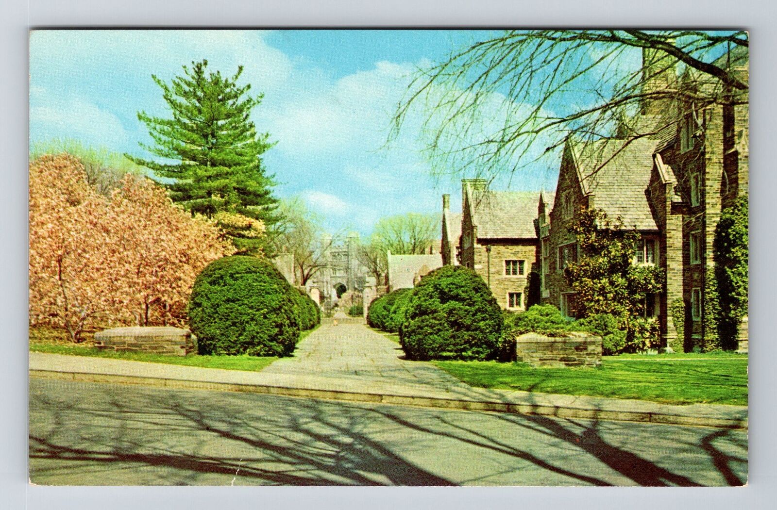 Princeton NJ-New Jersey, University, Pyne Hall, Vintage Postcard