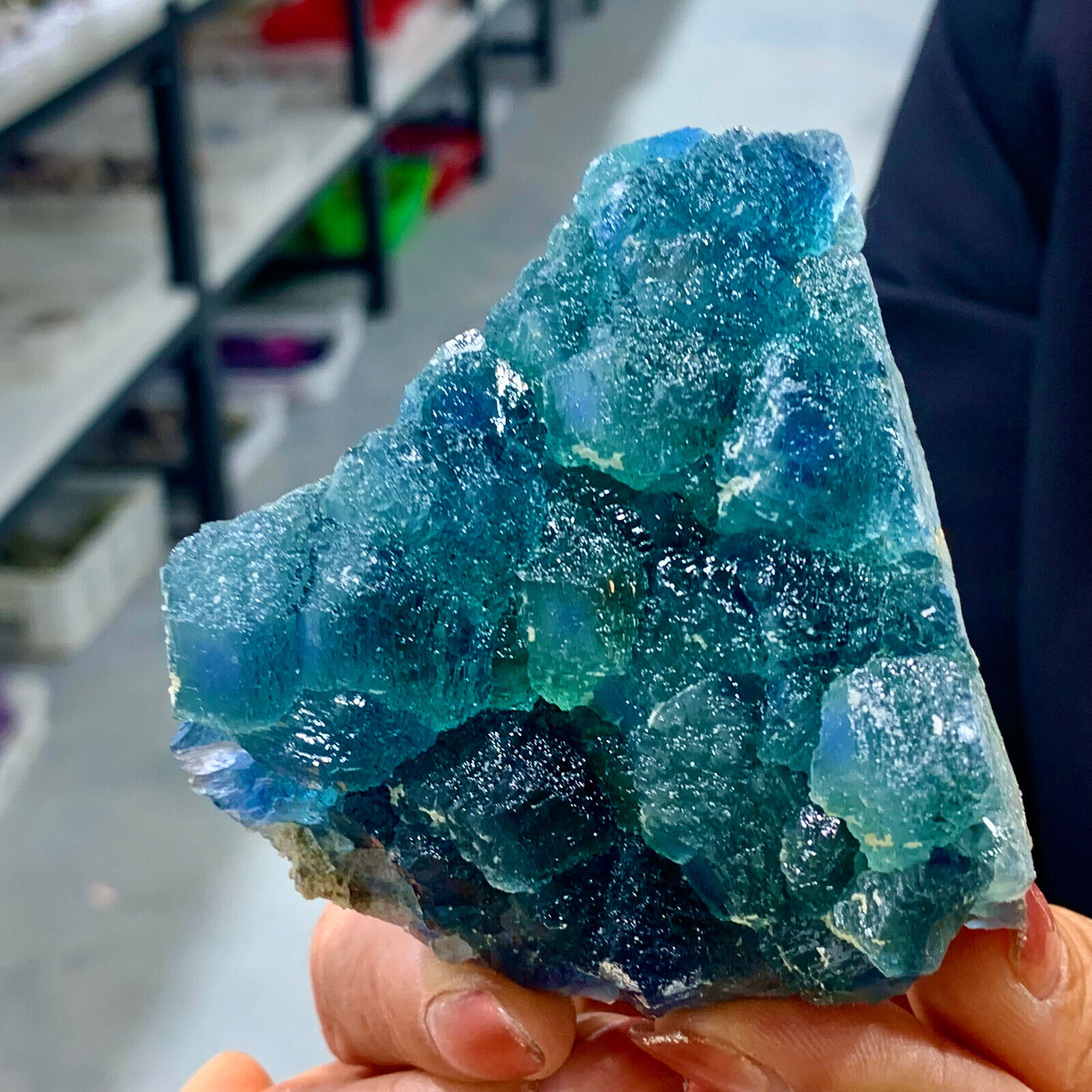 411G NATURAL Blue FLUORITE Quartz CrystalCluster Mineral Specimen