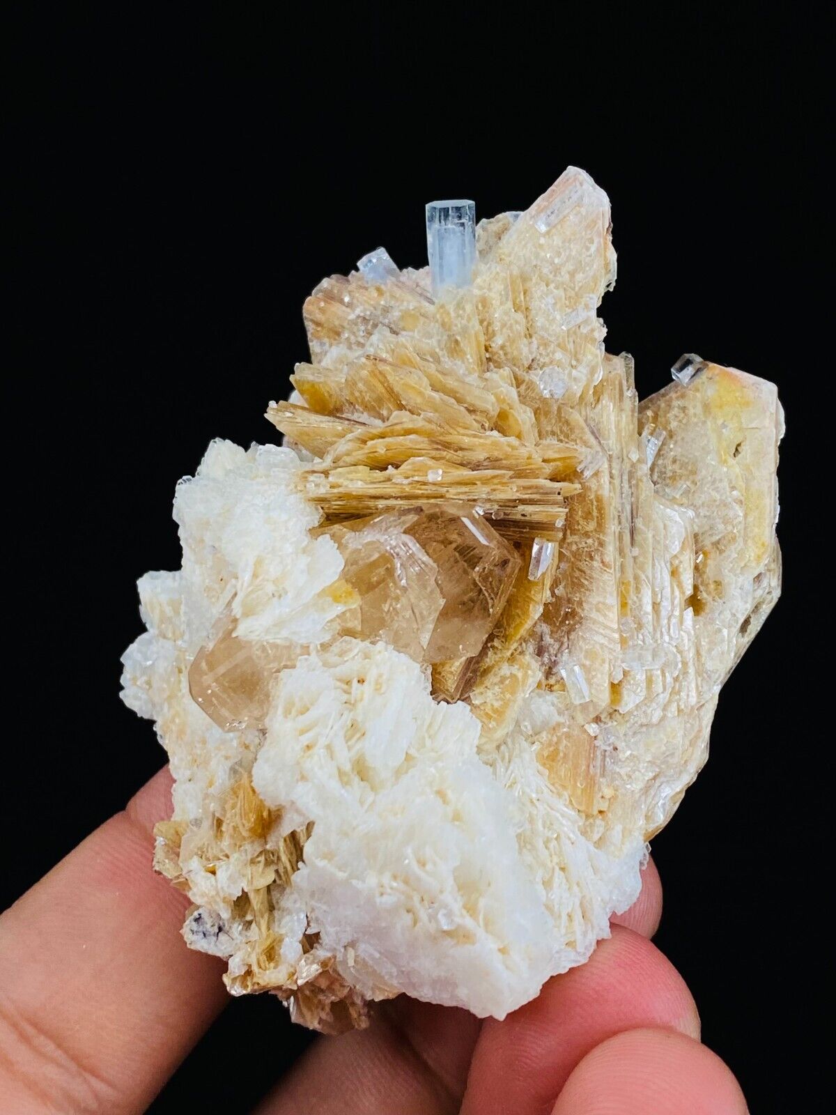 Unusual AQUAMARINE TOPAZ Crystals Host on Golden MUSCOVITE and ALBITE From PAK