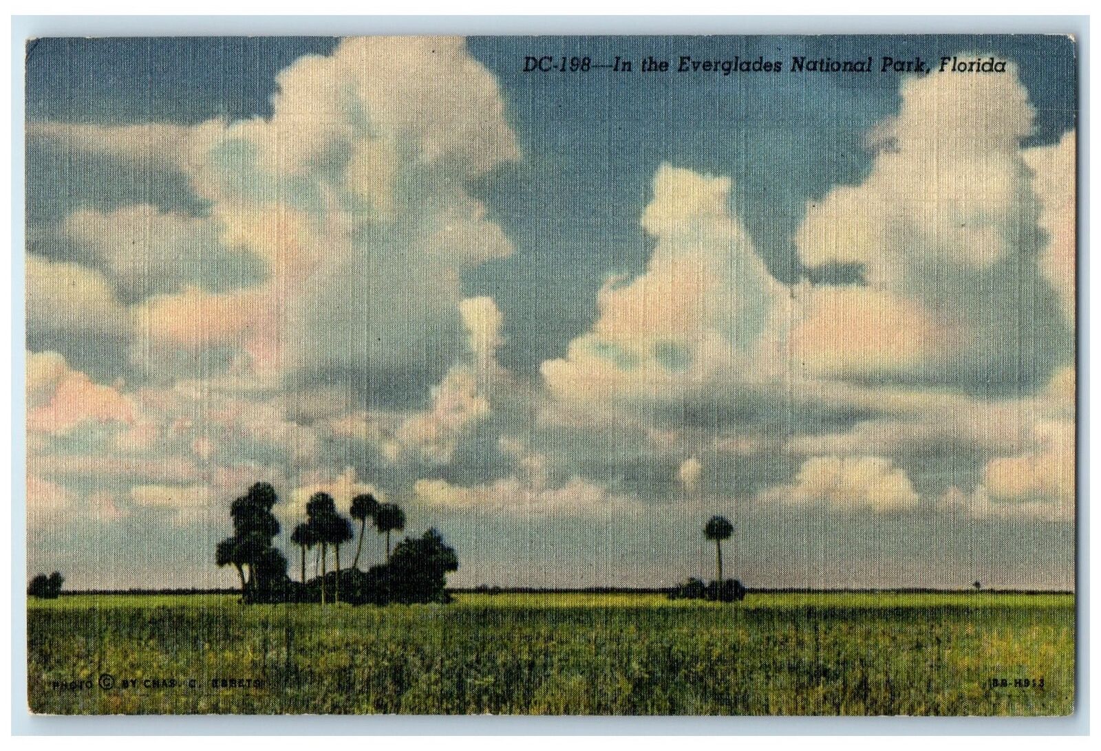 1948 In The Everglades National Park Everglades Florida FL Posted Cloud Postcard