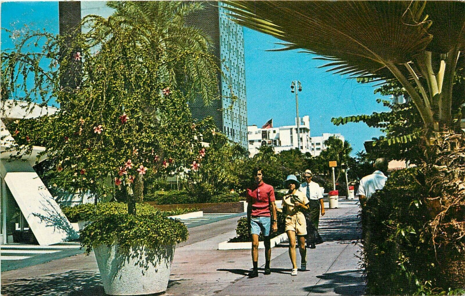 Lincoln Road Mall Miami Florida FL pm 1974 Postcard