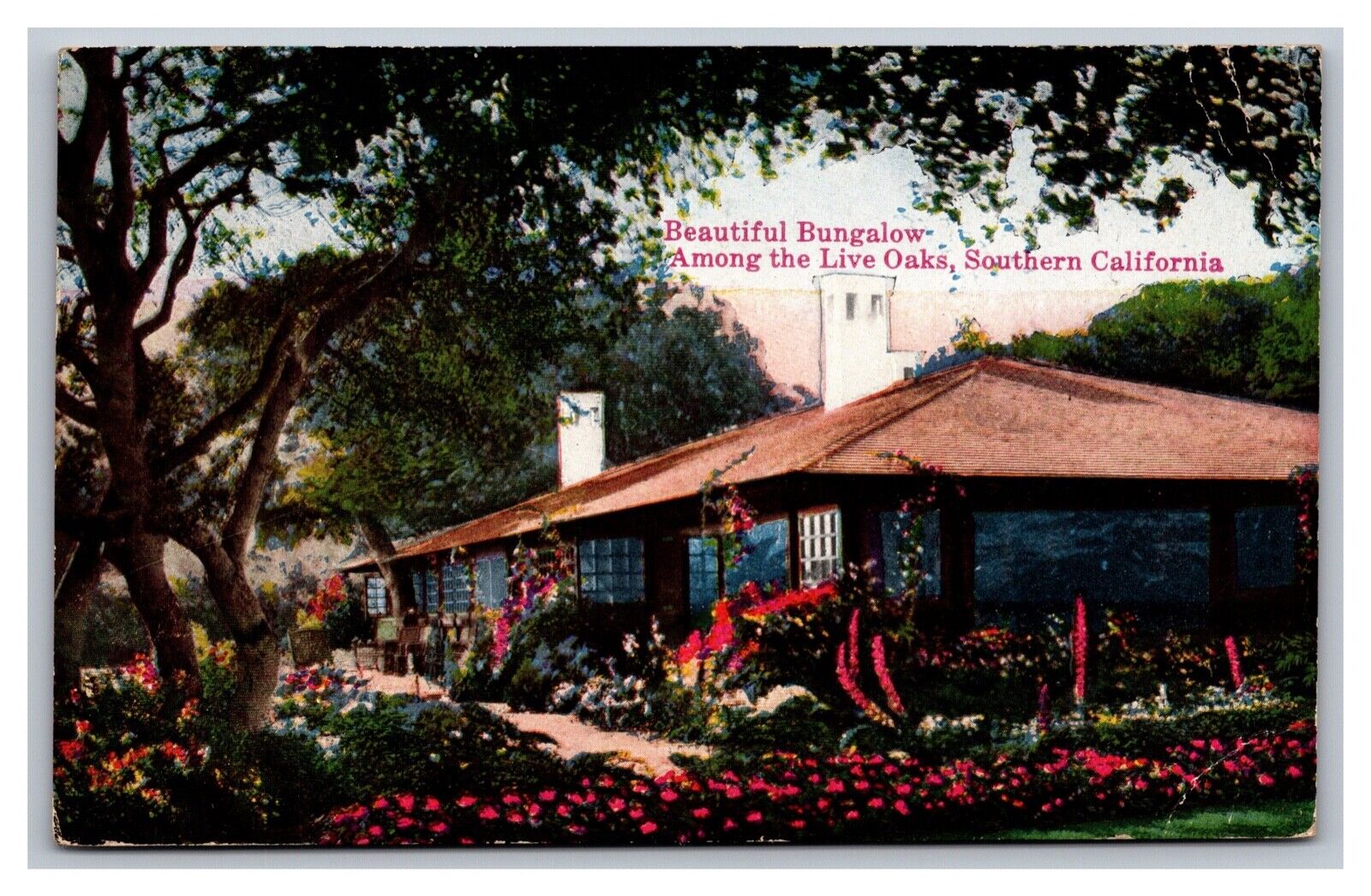 Visalia CA California Beautiful Bungalow Among Live Oaks Postcard Posted 1923