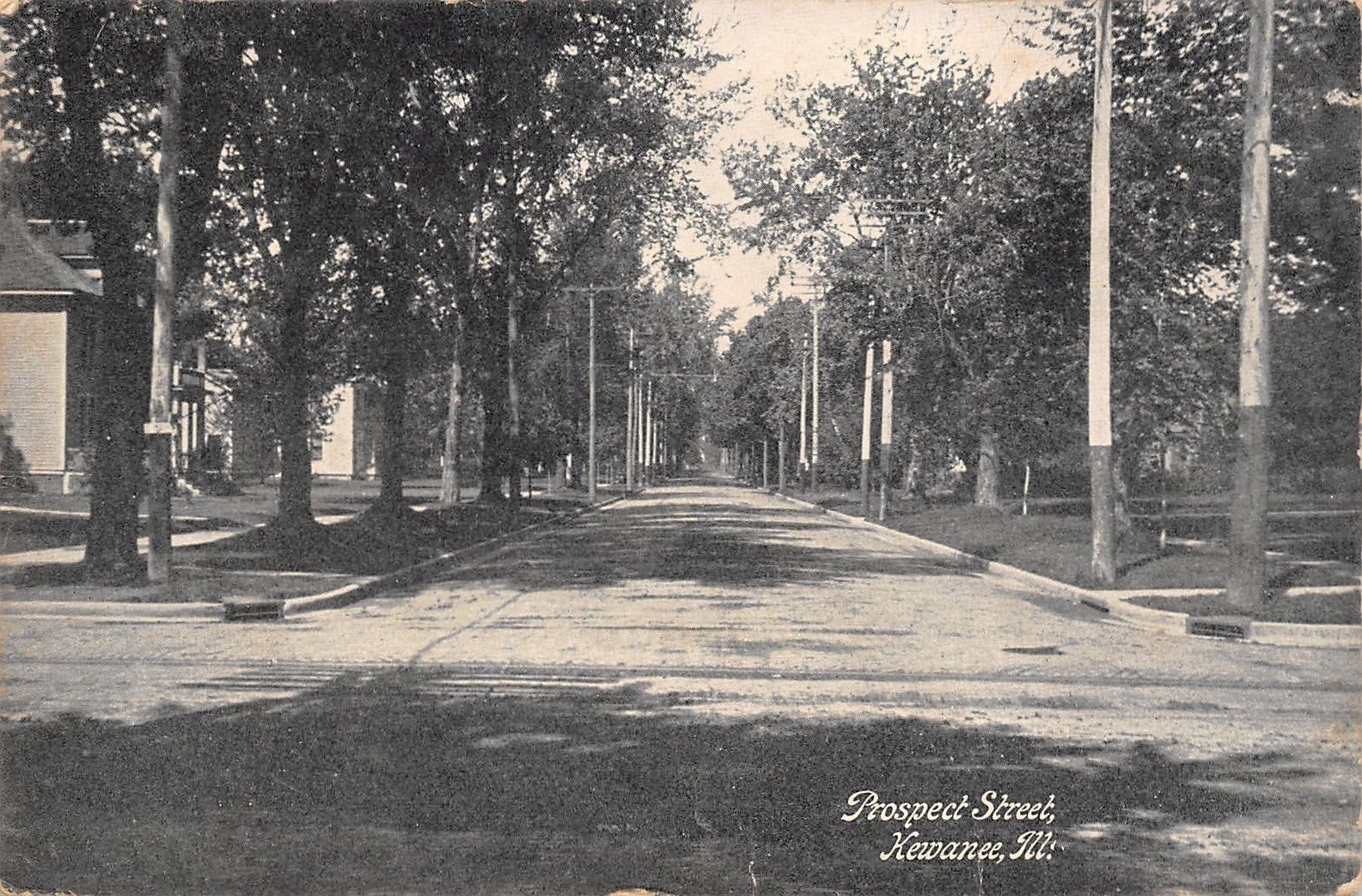 Kewanee Illinois~Prospect Street Homes~1909 B&W Postcard