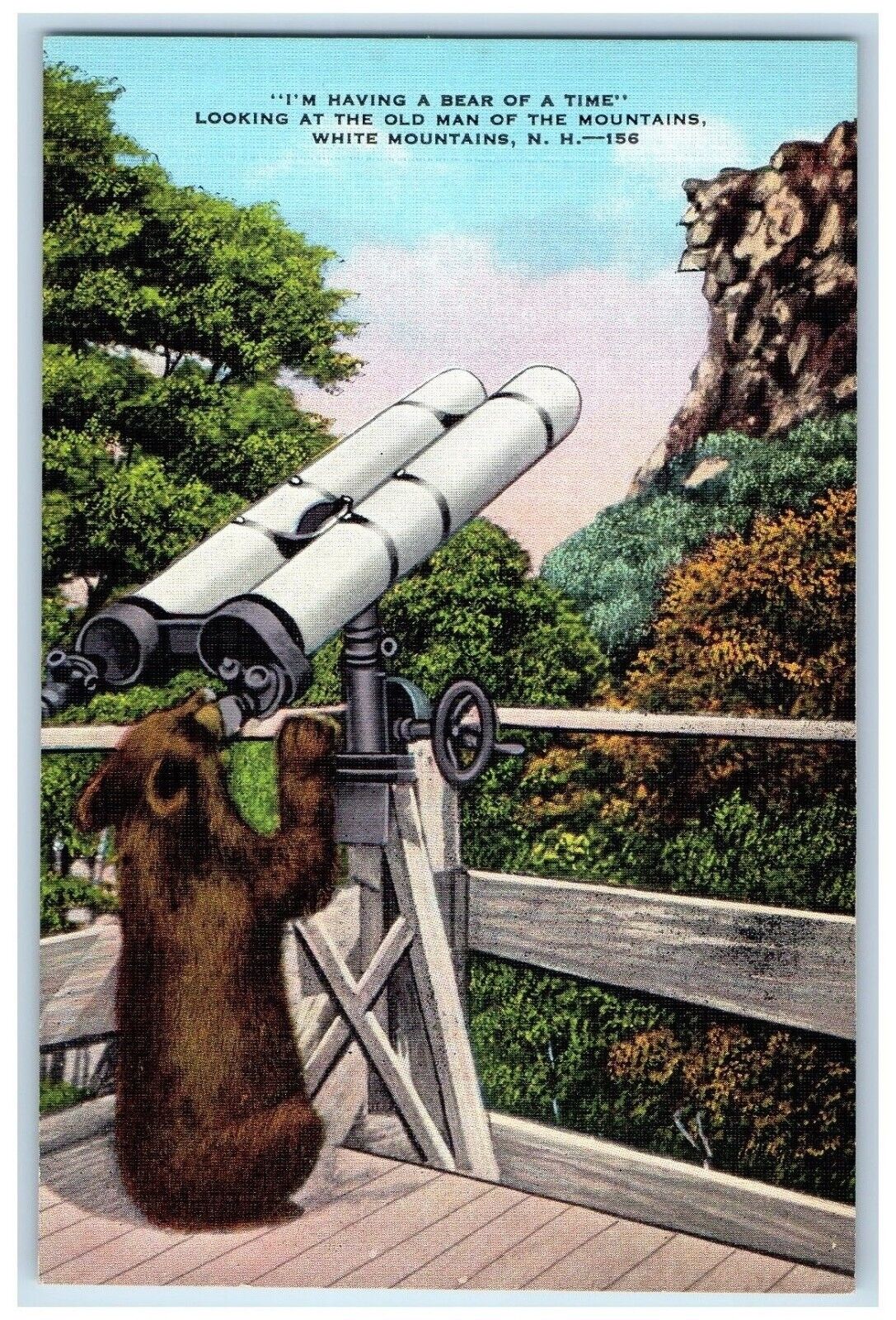 c1940 I'm Having Bear Time Old Man Mountains White Scope New Hampshire Postcard