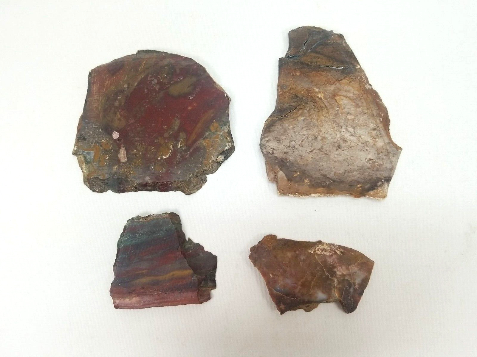 Estate Find OLD RAINBOW PETRIFIED WOOD ROUGH SPECIMEN ARIZONA Red Brown Lot A